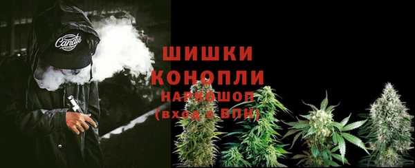 винт Богородицк