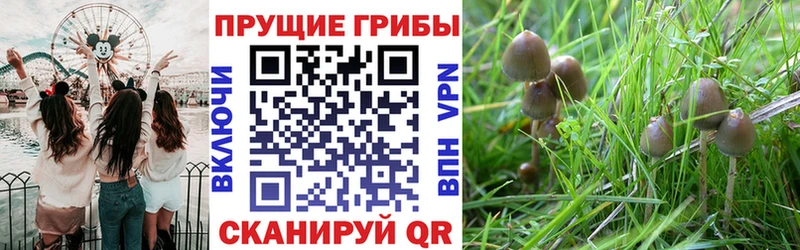 где можно купить наркотик  KRAKEN ссылки  Галлюциногенные грибы мухоморы  Верхняя Пышма 