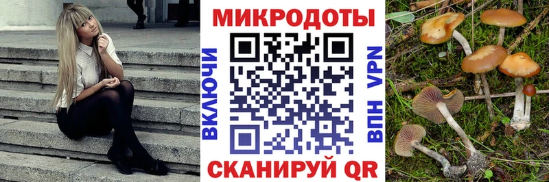 Галлюциногенные грибы ЛСД Верхняя Пышма